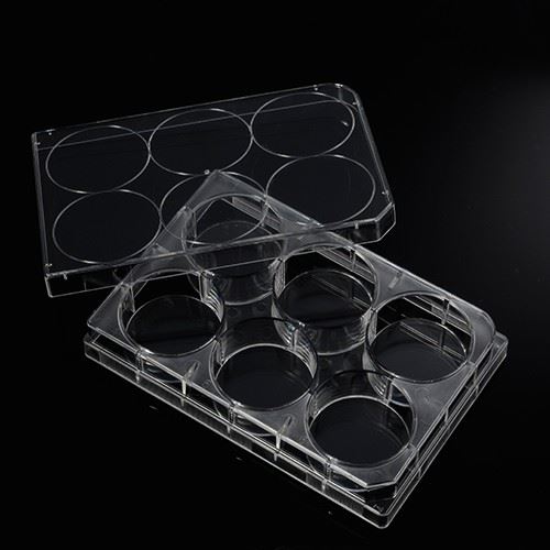 TC-Treated Cell Culture Plates, 6–96 Wells
